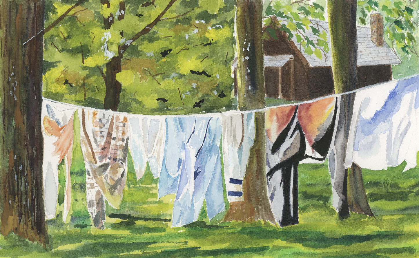 Laundry Day in the Woods