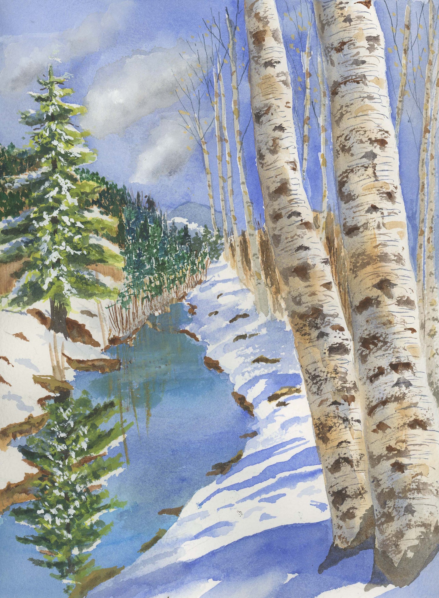 Winter Shadows