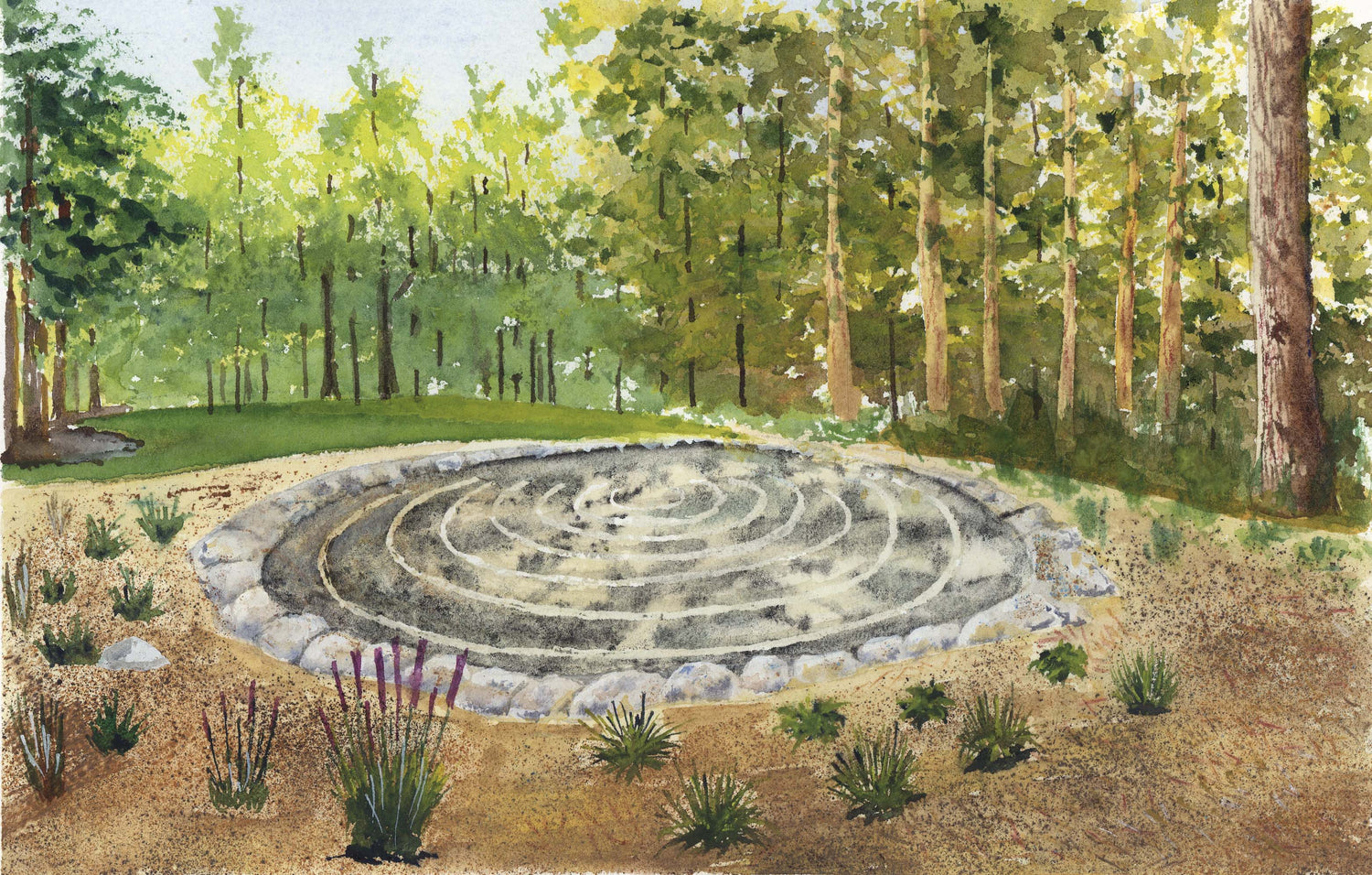 The Circle Program