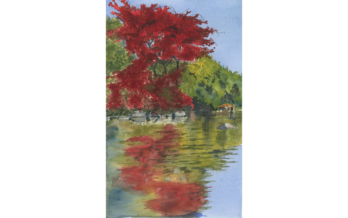Autumn Reflection