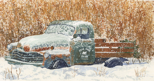 Bear Pond Farm