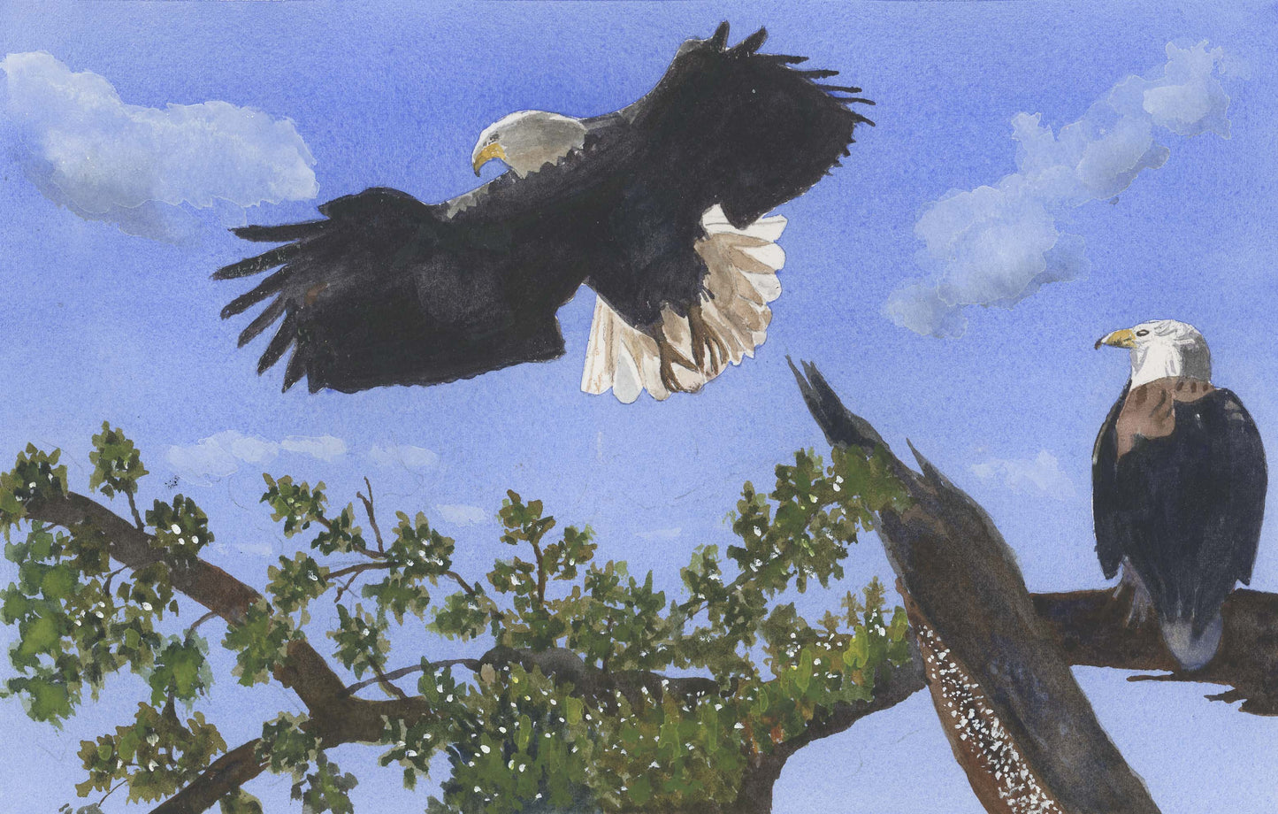 Majestic Raptor