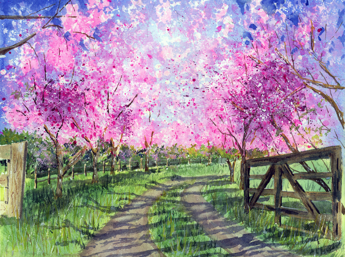 Spring Explosion
