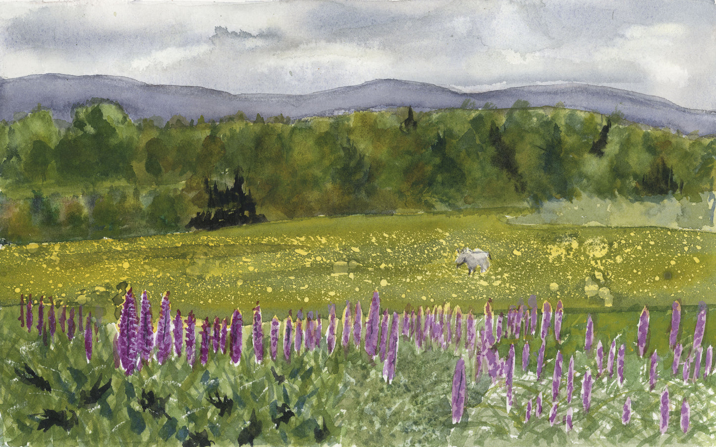 Spring Pasture