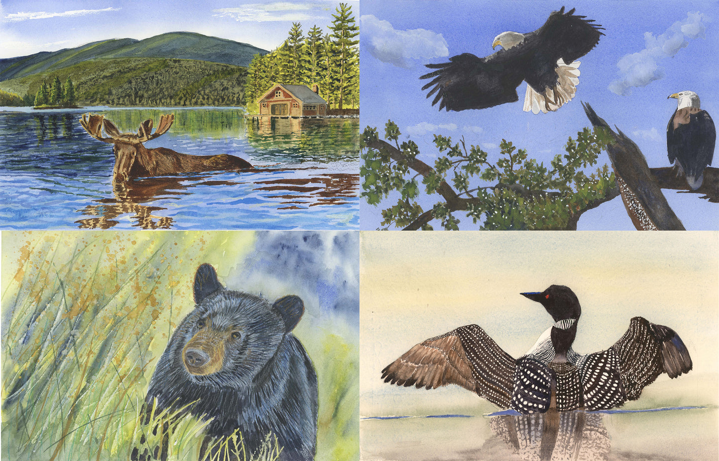Animals